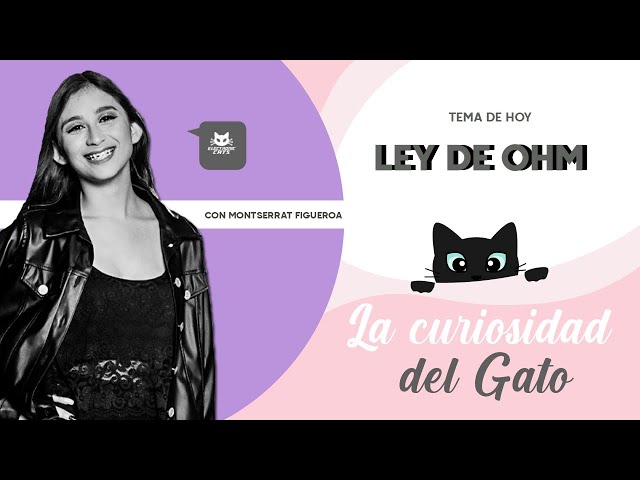 La curiosidad del gato - Ley de ohm