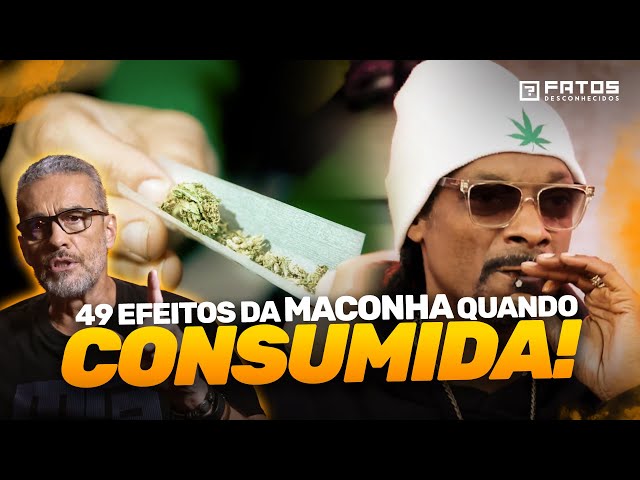 49 fatos sobre o que a maconha faz com o seu corpo?