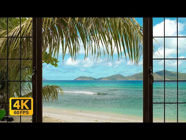 Give Your Room a Tropical Caribbean Beach Window View | Calm Ocean White Noise
