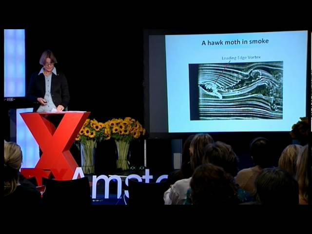 How students built a (flapping) robot dragonfly | Hester Bijl | TEDxAmsterdamWomen