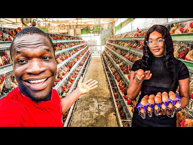 How She is Making thousands Of Dollars From Poultry Farming In Nigeria 