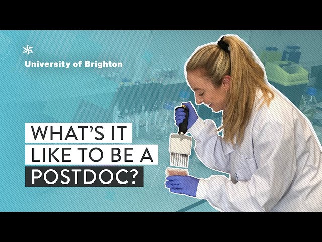 What's it like to be a Postdoc?