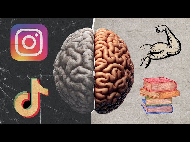 The Damaging Effects of Multitasking on the Brain