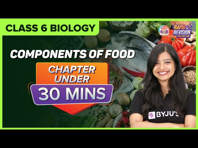 Components of Food | Chapter Summary under 30 mins | Class 6 Science