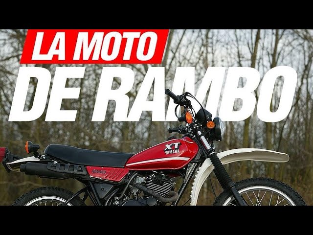 The indestructible YAMAHA XT250 | Rambo's Bike | The Mother of the Tornado | Two-Wheeled Legend.