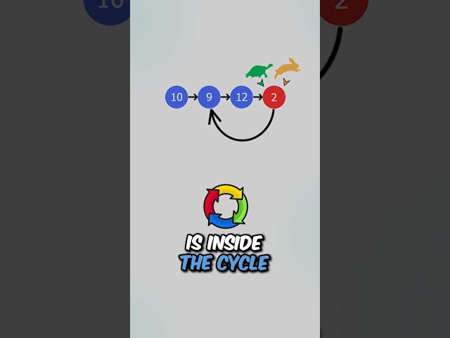 This Rabbit And Turtle Coding Question Has Appeared At Every Single Company