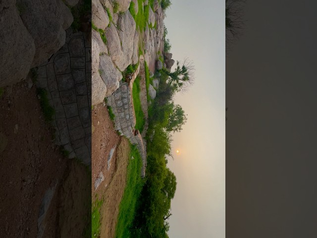 JNU University | JNU Campus Tour #jnu #jnucampus #nature #naturelovers #asrworld