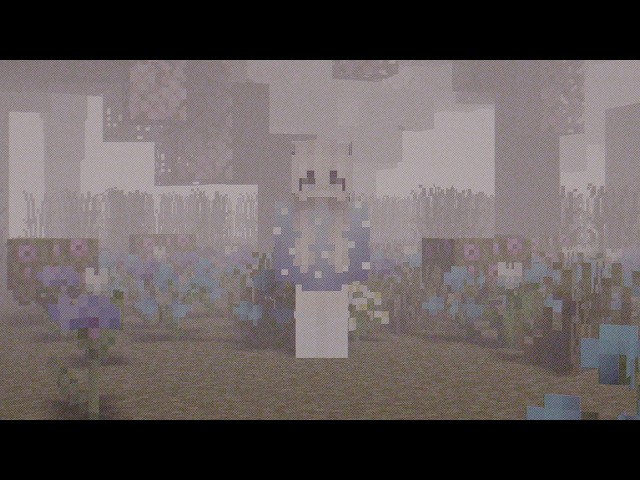 Searching For A Girl On The Donut SMP