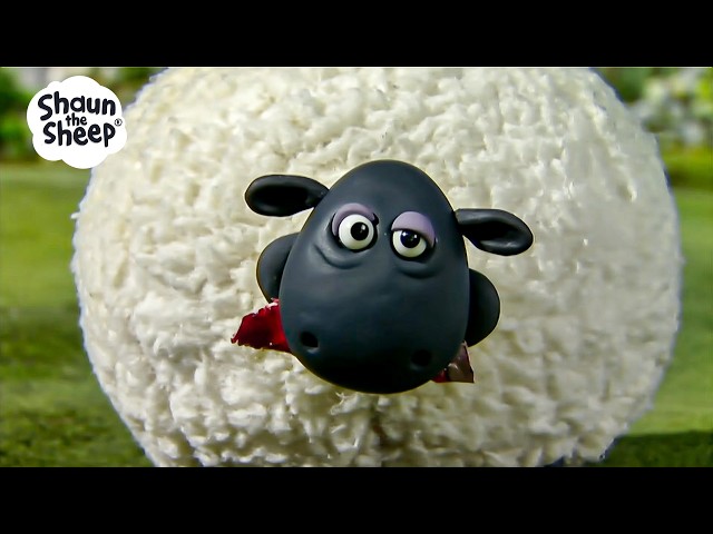 A KITE FOR A SHIRLEY BITE! 🪁🤤 | Shaun the Sheep 🐑
