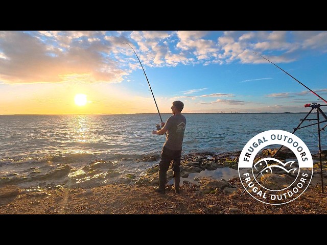 What Just Happened....I Didn't Know UK Sea Fishing Could Be This Good So Many Big Fish Isle of Wight