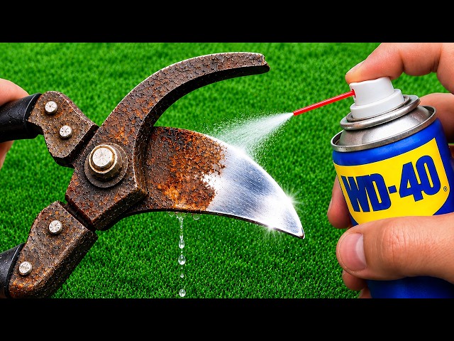 Never Buy New Pruning Shears Again 😱! Easy Way to Sharpen Them and Save Thousands of Dollars!
