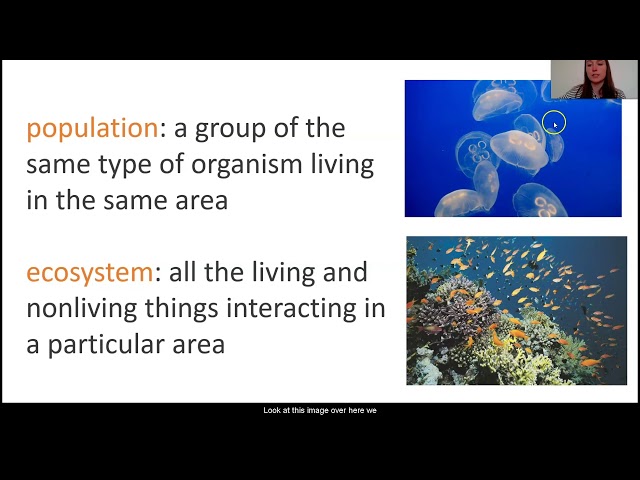 Science, Grade 7, 3/27 - Lesson 1, Populations and Resources
