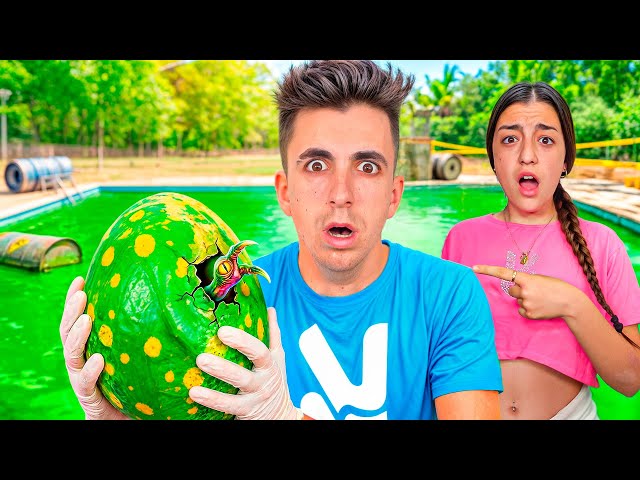 THERE IS SOMETHING ALIVE INSIDE THE TOXIC POOL EGG…I’m in shock