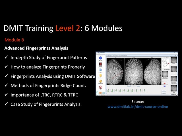DMIT Training Online, Advanced DMIT Course, Fingerprint Analysis