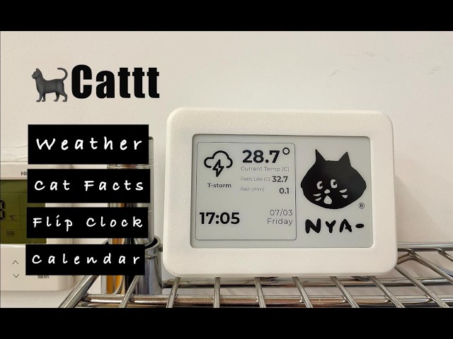 What happens when you put cats on an e‑ink screen? This.