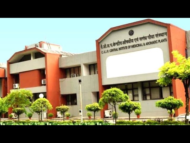 CI-MAP Lucknow|| educational blog|| Visit c-map|| #ICAR #CI-MAP #ornamentalplant  🌼