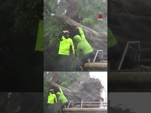 Tropical storm Jangmi injures 9 in Japan, leaves thousands without power