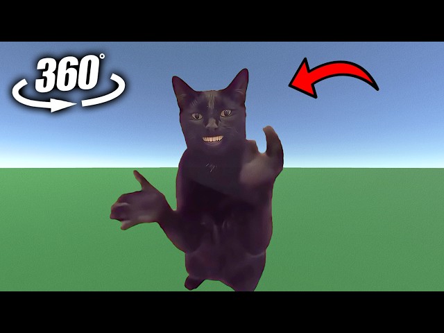 Find Hidden Clapping Cat | VR / 4K | Clapping Cat Meme