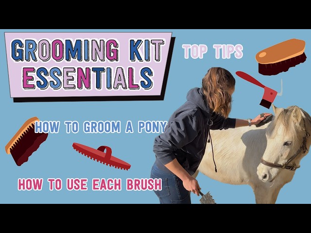 What should be in your grooming kit and how to groom a pony correctly 🧼