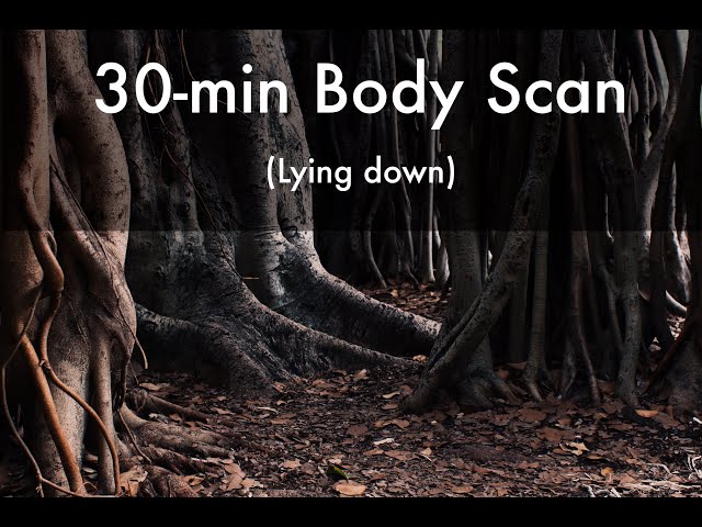 Mindfulness Body Scan Meditation (lying down) - 30 minutes