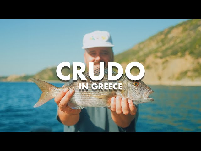 SEA BREAM CRUDO IN GREECE
