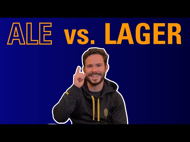 Ale Vs Lager (Guía definitiva) - Mayores Diferencias
