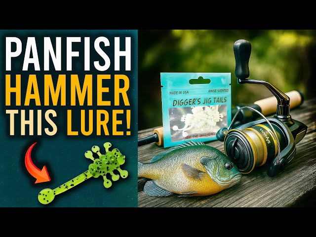 ULTRALIGHT FISHING for PANFISH (EASY & FUN!)