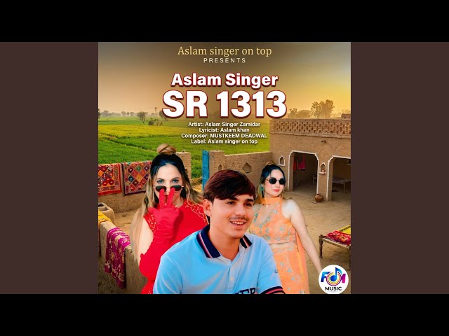 Aslam Singer SR 1313