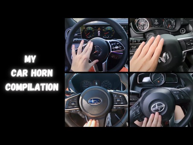 My Car Horn Compilation #1