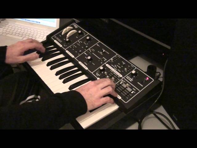 Moog The Rogue
