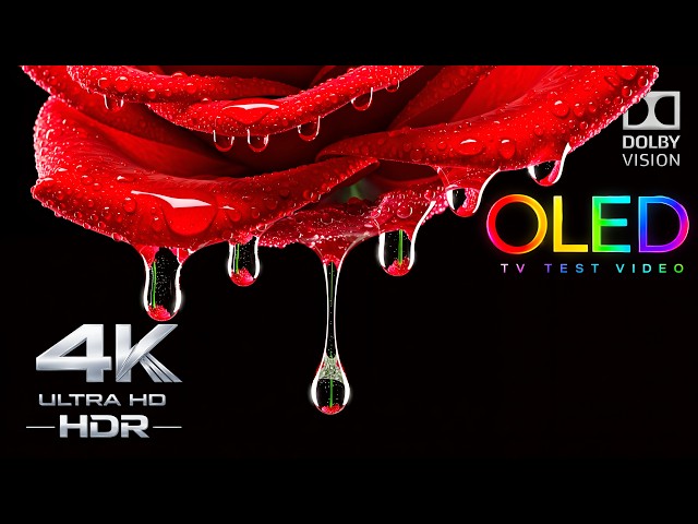 The Most PERFECT 4K OLED Test Ever Created | 4K HDR 240FPS Dolby Vision Demo