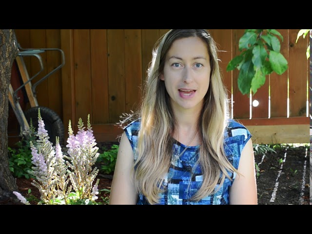 StudyNow - Say Hi to Rachael