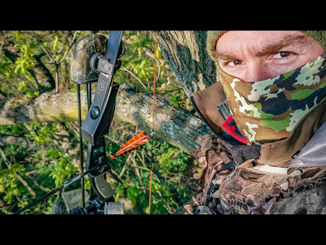 WF19 and Tradtech Carbon Extremes - Grip to Tip on my Frankenbow