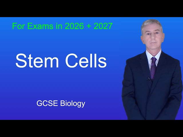 GCSE Biology Revision "Stem Cells"