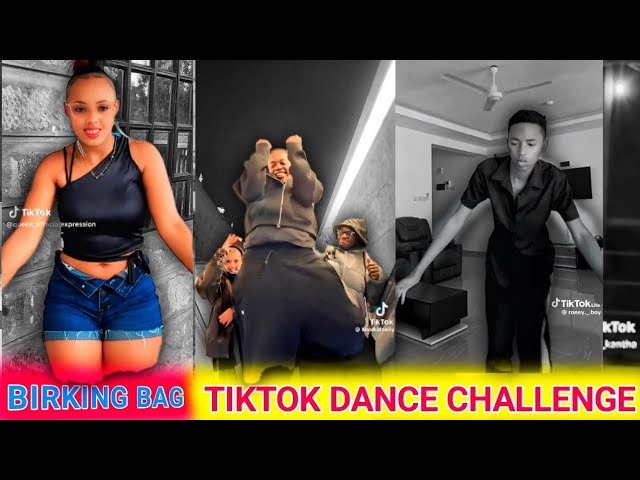 BIRKIN BAG REMIX TIKTOK DANCE CHALLENGE