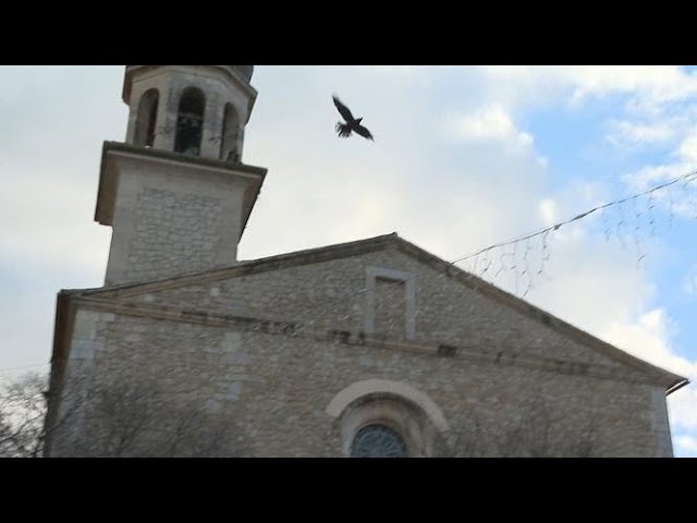 El corb Llorenç torna a sobrevolar Mancor