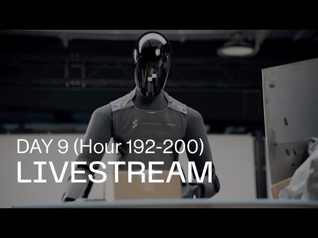 F.03 Livestream: Day 9 (Hour 192-200)