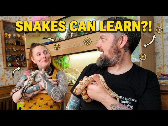 Everyone Says You Can't Train a Snake. They're Wrong.
