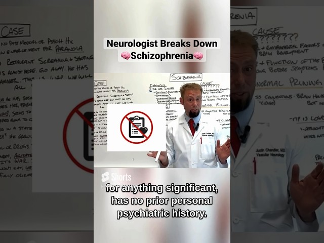 Schizophrenia Deconstructed | Conversation with a Brain Expert! #schizophrenia #doctor