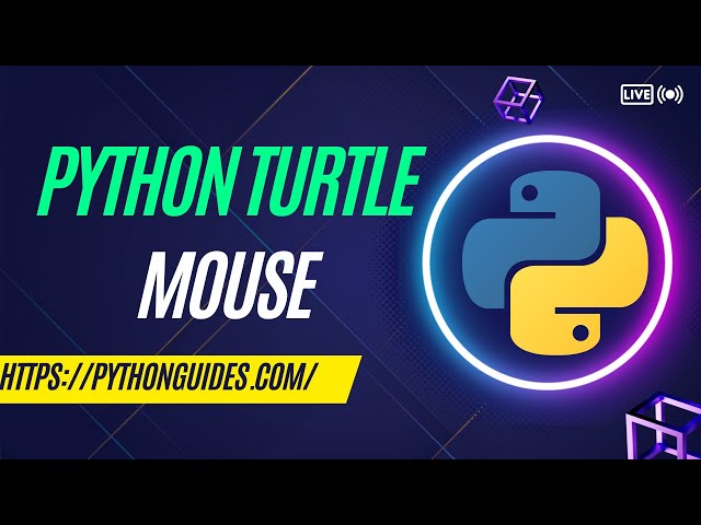 Python Turtle Mouse | How to use mouse in Python Turtle
