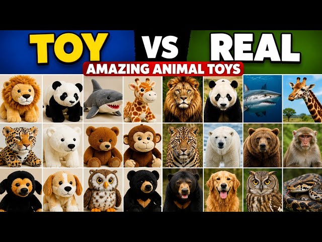 Amazing Animal Toys vs Real Animals Comparison! 🤯