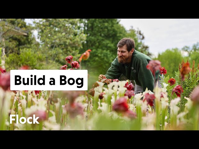 How to BUILD a BOG — Ep. 171