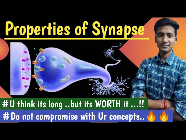 Properties of Synapse || CNS Physiology ||Lectures||MBBS ||hindi|| Ashish