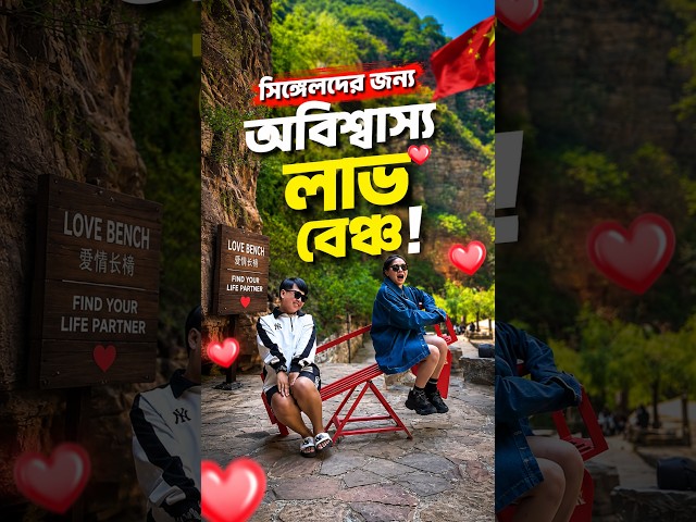 ভালোবাসার বেঞ্চ ❤️ #ytshorts