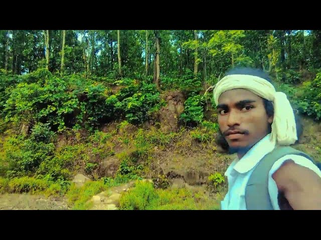 #Cinematography #cinematic #wildlife #winter #shorts #vairalvideo #villagevlog #how to shoot video 
