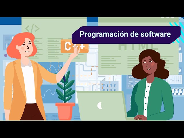 Software programming