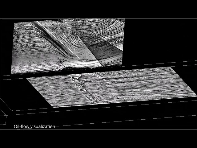 Flow Physics of a Turbulent Shockwave/Boundary-Layer Interaction - A Visual Study
