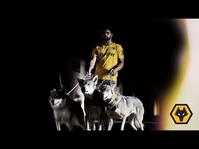 Wolves x ScorePlay