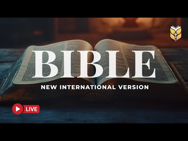 NIV Holy Bible Reading – Strengthen Your Heart with God’s Word 🔴 BibleVision LIVE