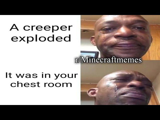 r/Minecraftmemes | NOT LIKE THIS